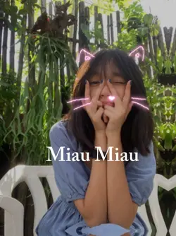 Miau Miau
