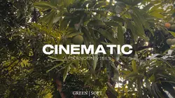 Cinematic