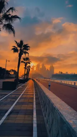 aesthetic