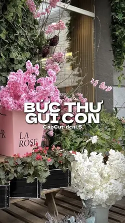 Bức Thư Gửi Con