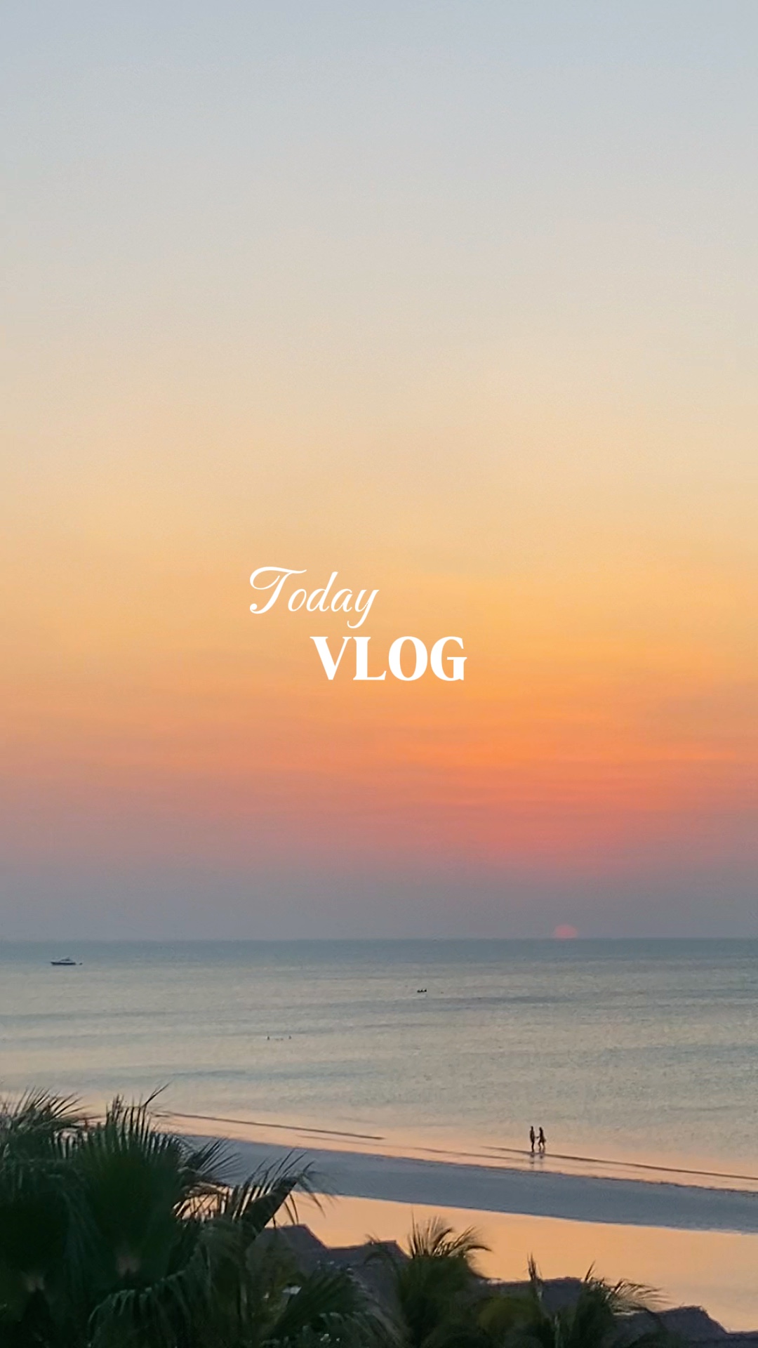 HOY VLOG 🌴