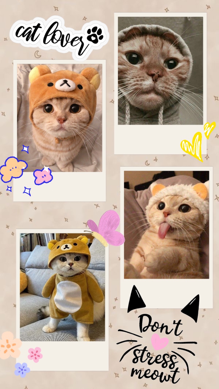 Template Lucu