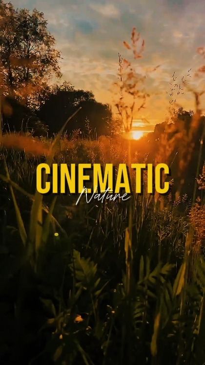 NATUREZA CINEMÁTICA