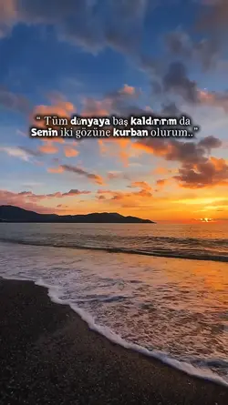 Aşk sevgi