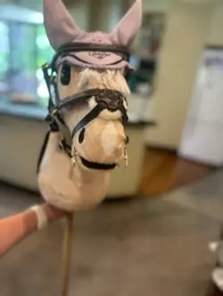 Horse and hobby 