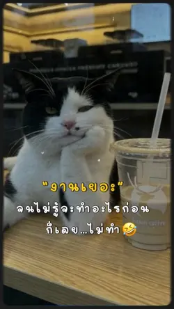 งานเยอะแต่ไม่ทำ