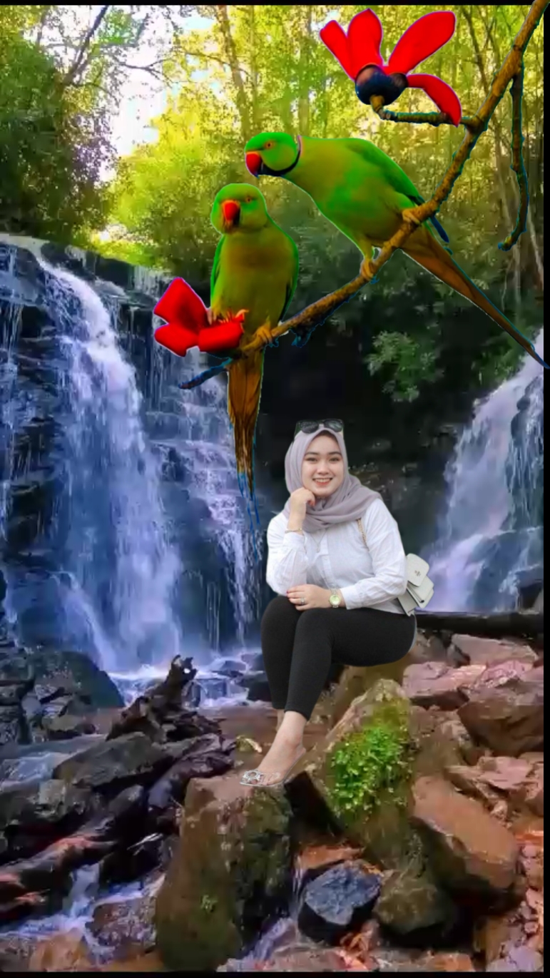 Cover Picture