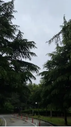 Karşıma çıksın 😎