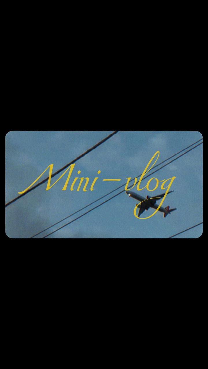 Vlog film