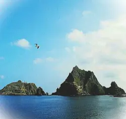 오늘 독도의날