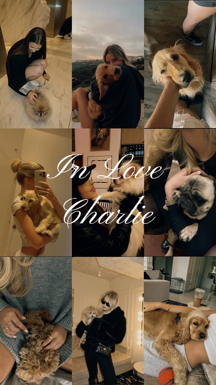 In Love si Charlie