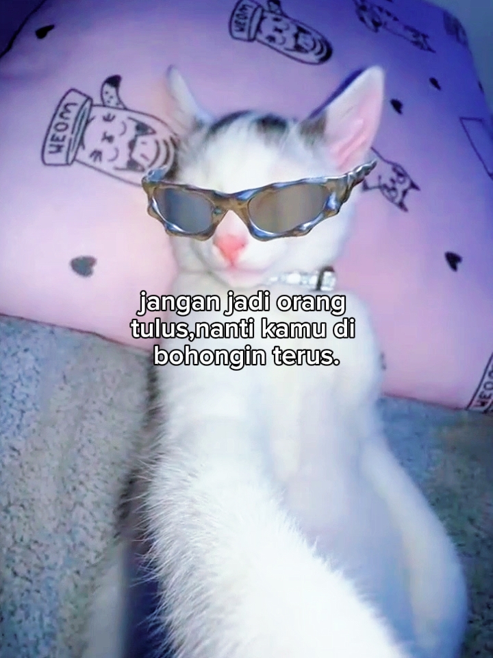 Foto live kata