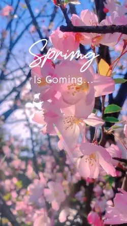 S P R I N G