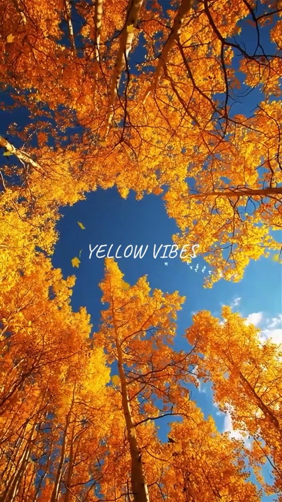 NATURE 6 VIDEOS