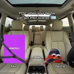 tiktok viral