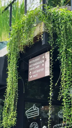 NO POLE