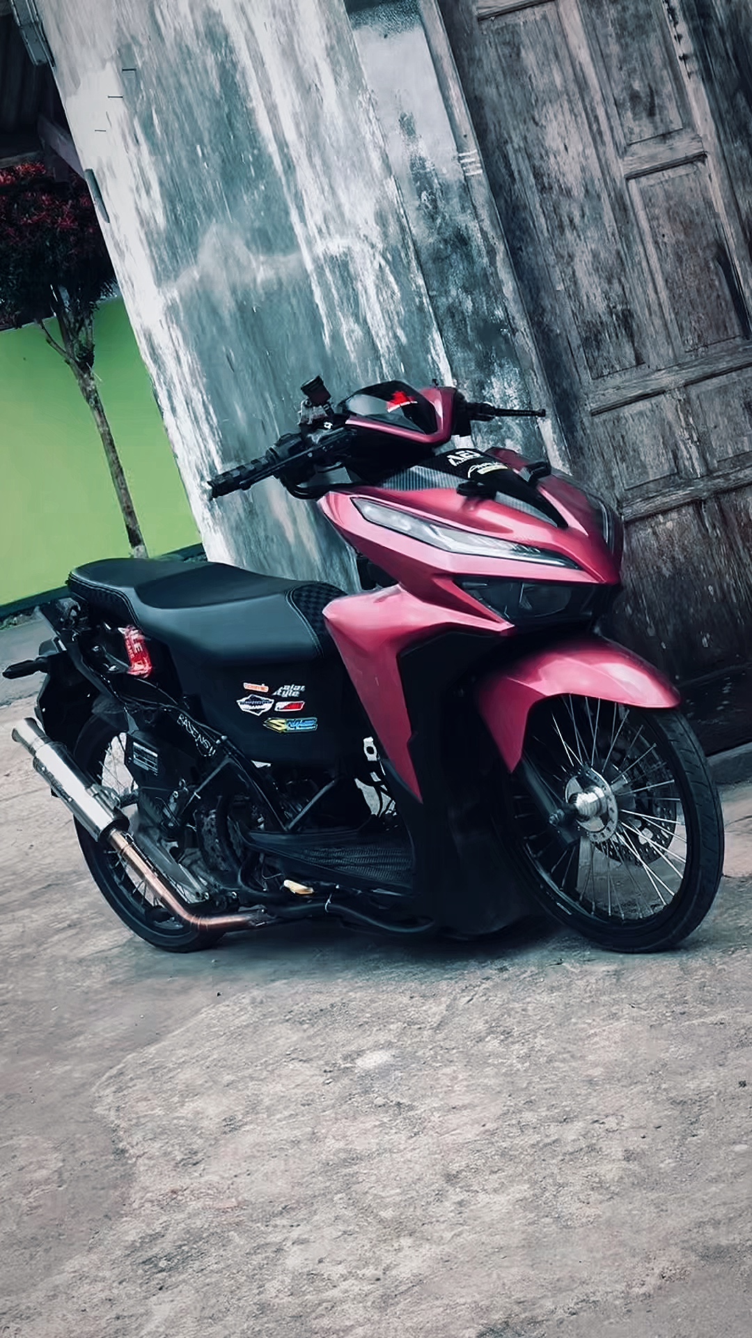 Cover Picture
