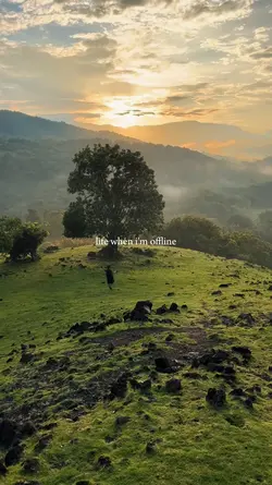 life when im offline