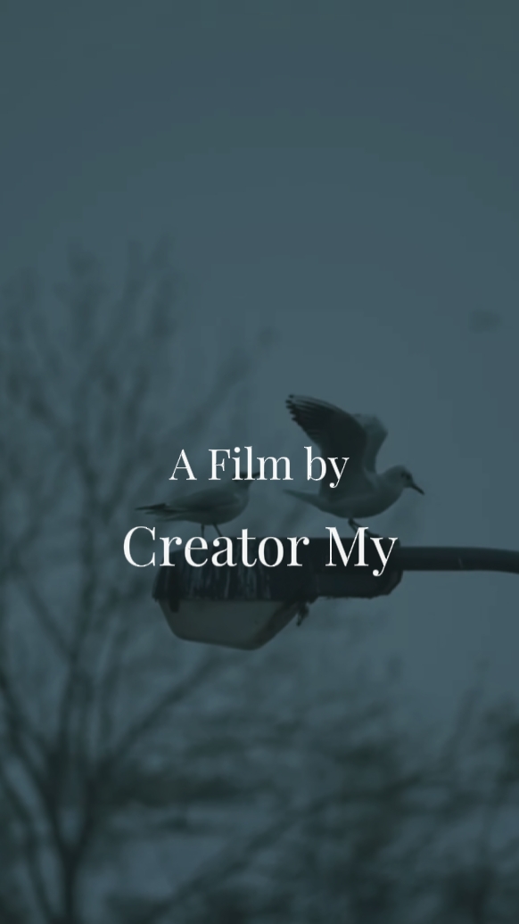 Short Film