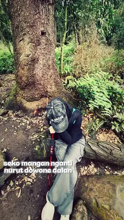 seko mangan