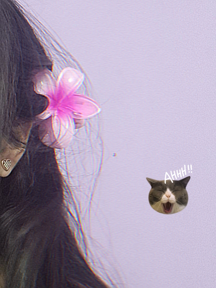 hairclip trend 