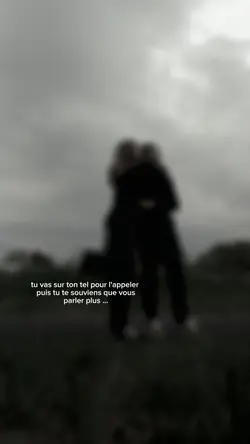 vs parlez plus