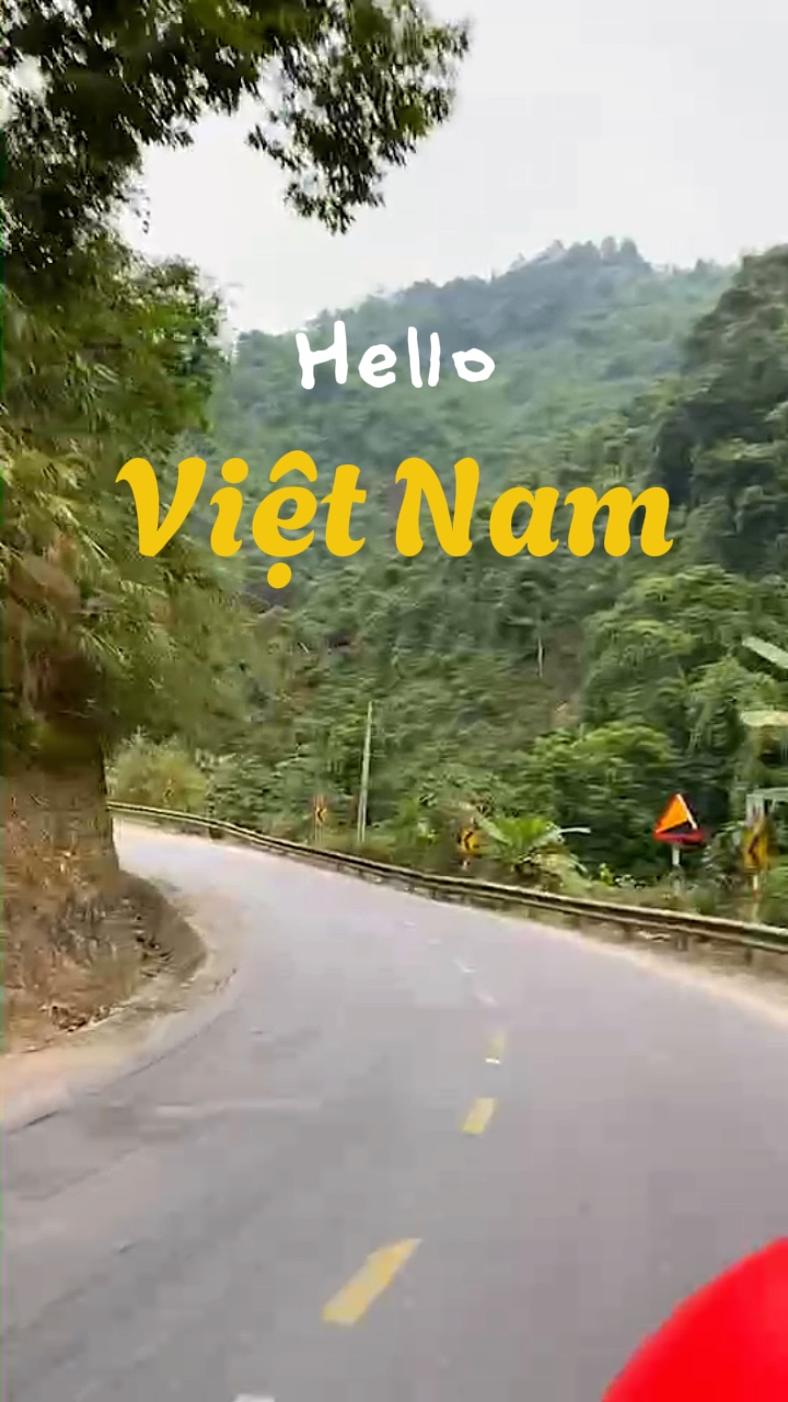 Vietnam travel vlog