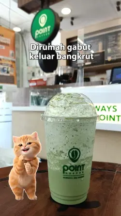 cat dance