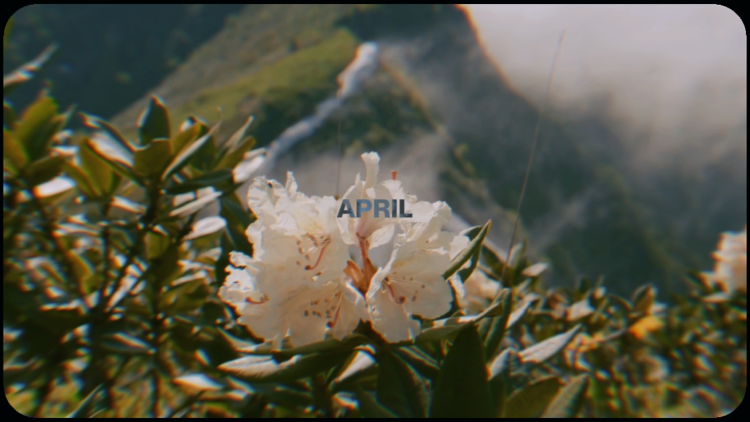 VLOG DE ABRIL DUMP