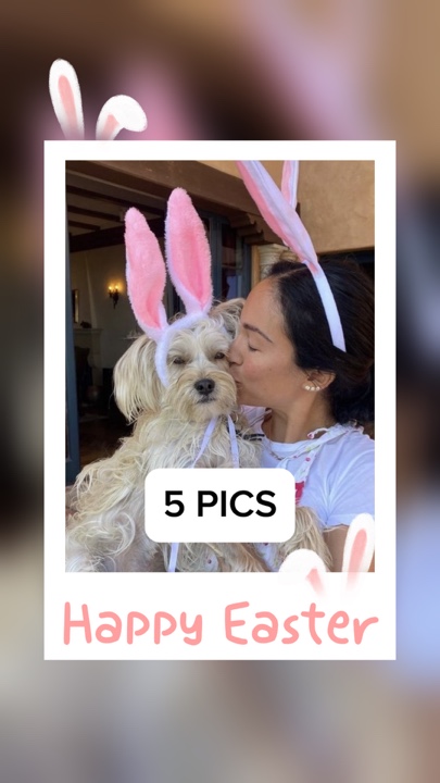 Joyeuses Pâques 🐰
