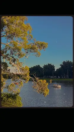 aesthetic filter
