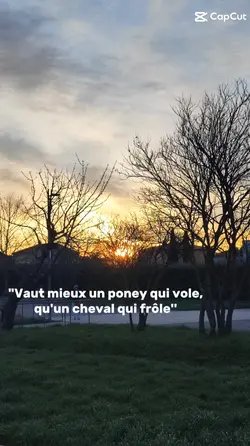 Cheval qui vole/frol