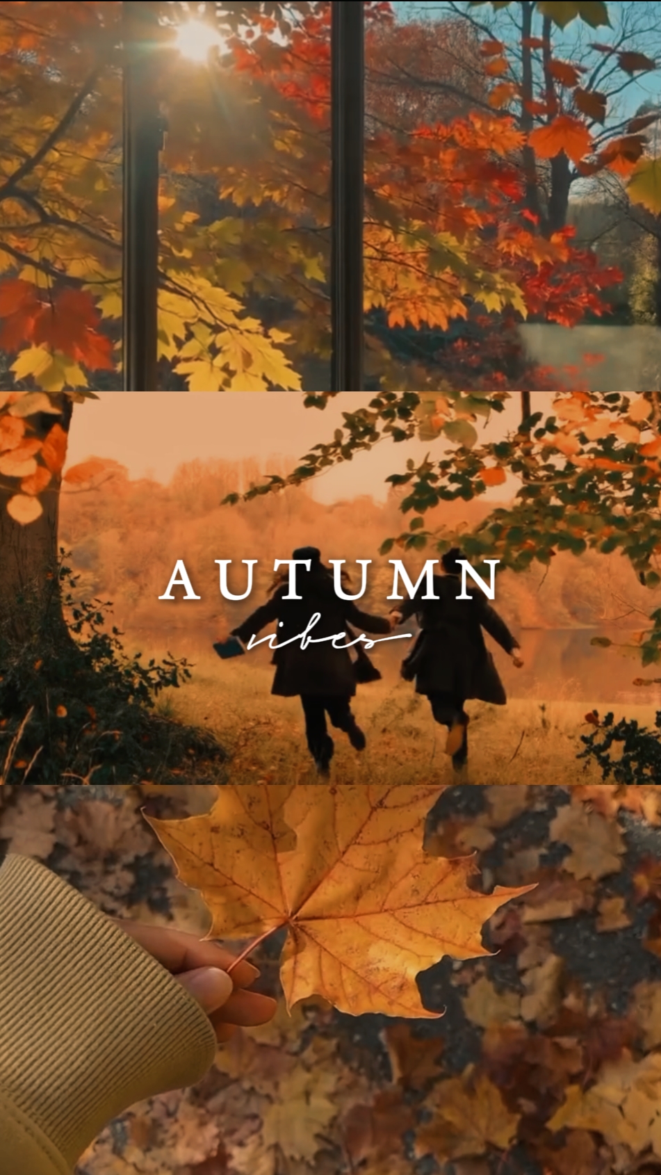 autumn vibes
