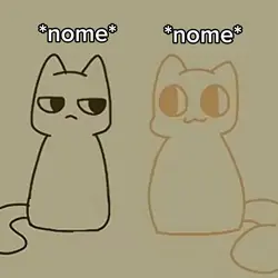 Meme Gatos