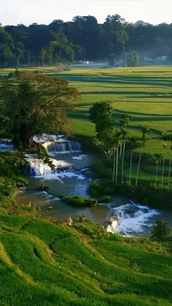 nature vibes