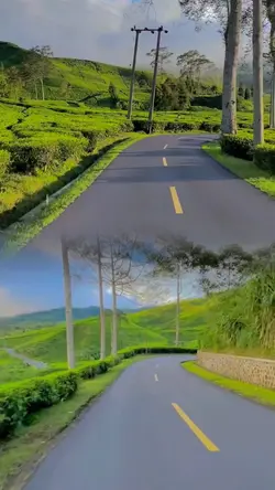 2 video 1 frame