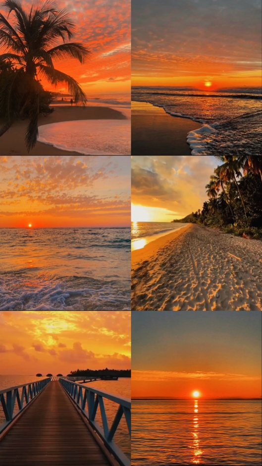 3 vidéos et 3 photos 