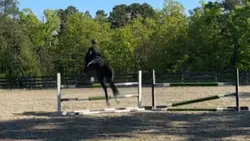 Rode Lebelle today! 