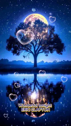 Wonderful tonight 