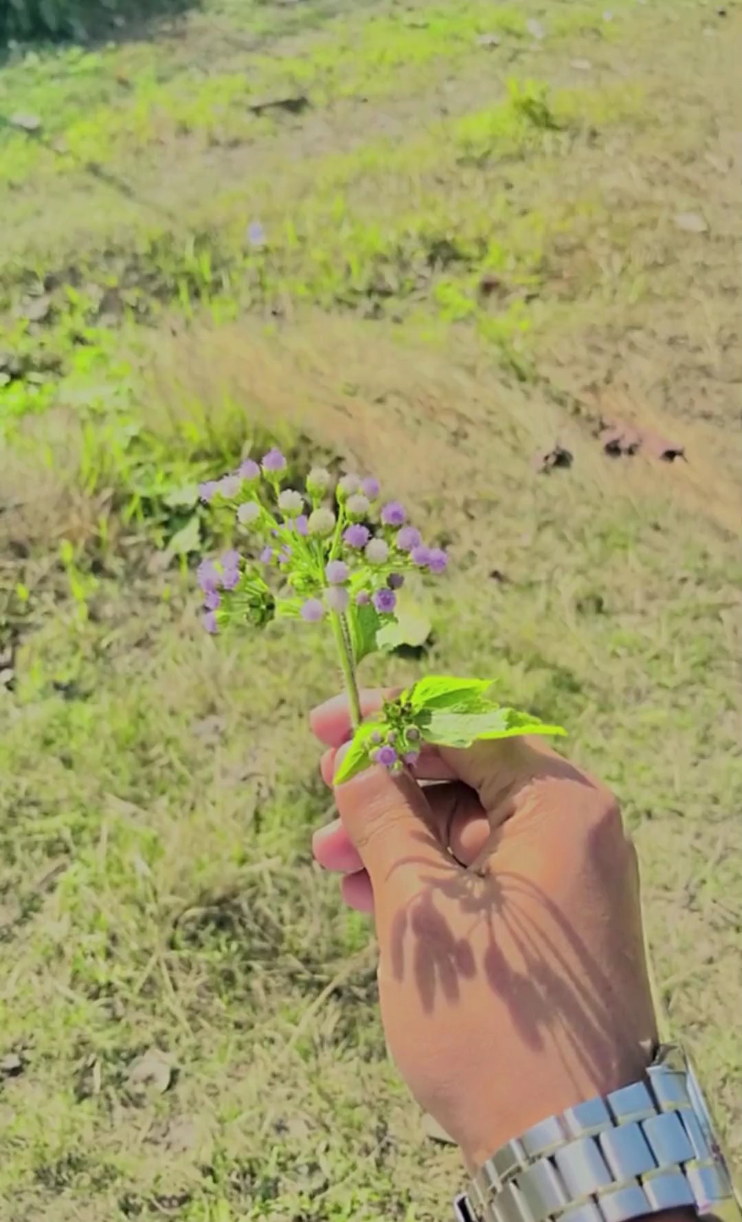 Ha Tum se kahna Hai.