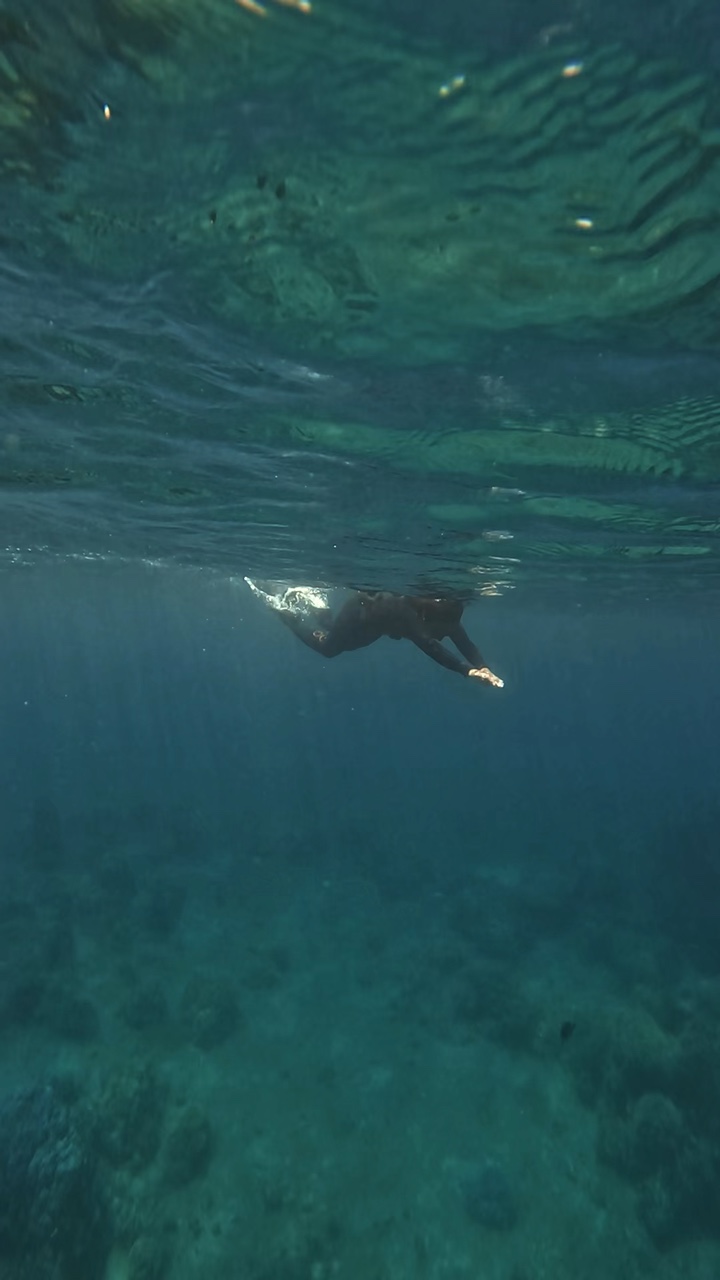 Buceo libre 