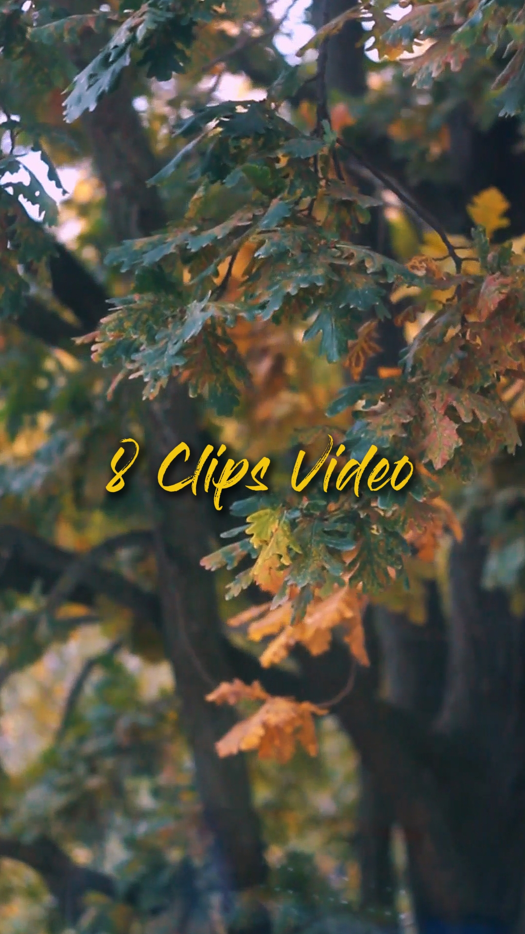 Cinématique 8 Clips
