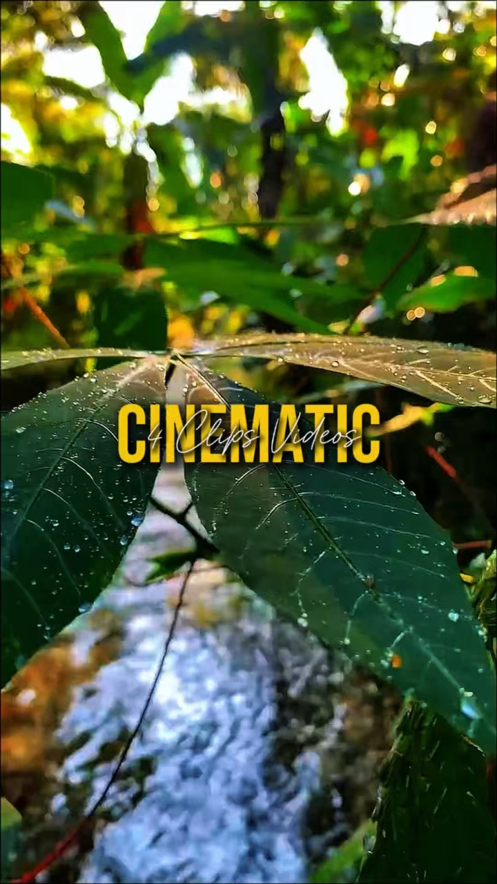4 VIDEOS CINEMATIC 