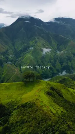 nature therapy