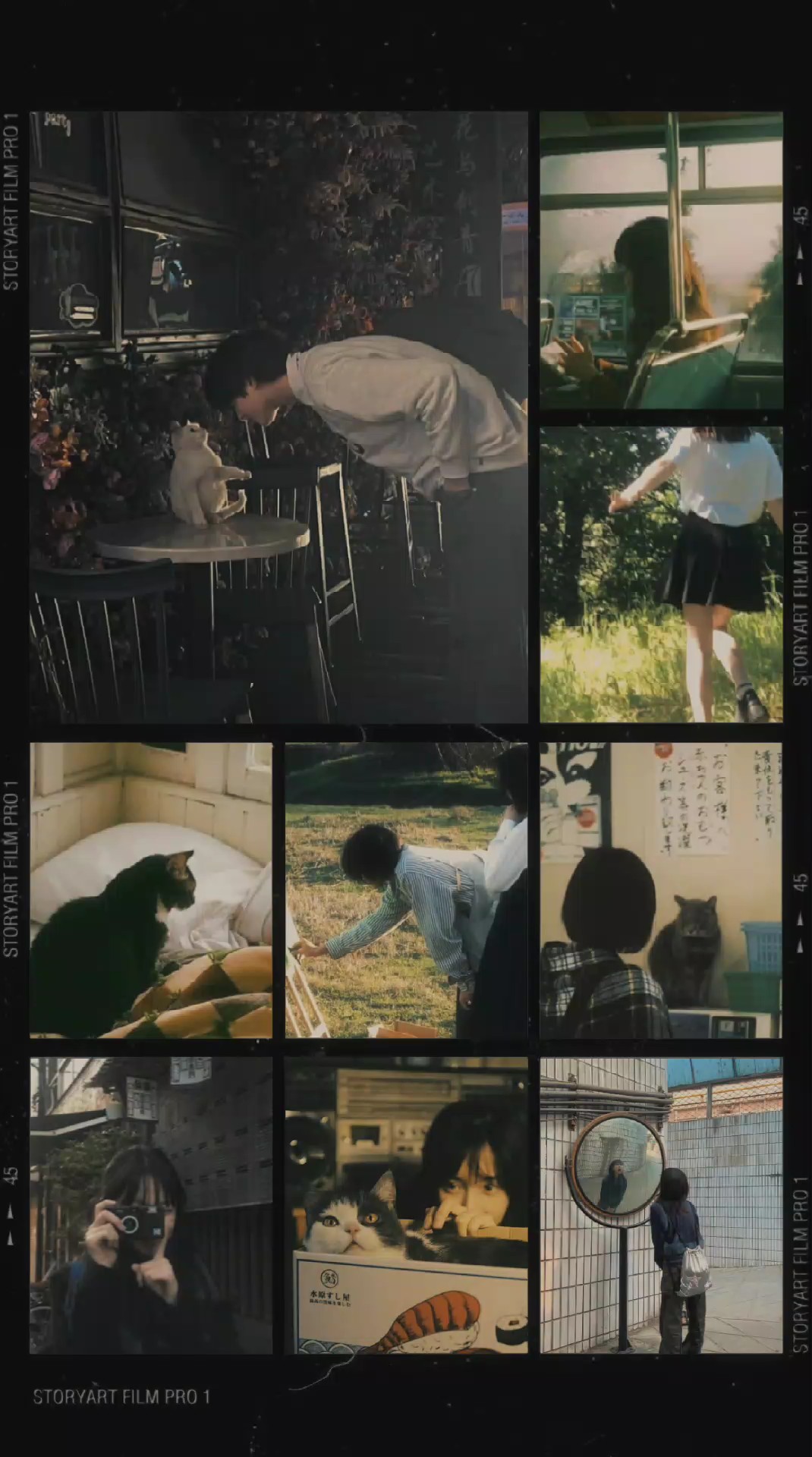 frame aesthetic 