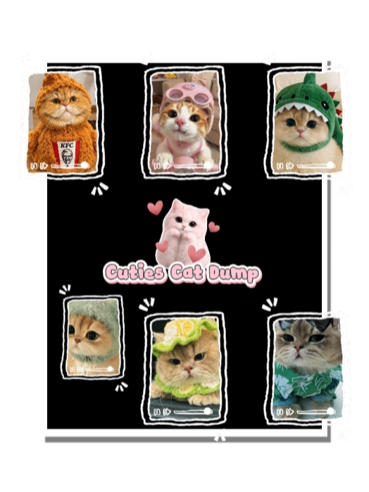 National Cat Day