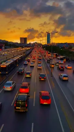 cinematic city