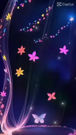 3つの動画