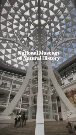 Museum Tour Template