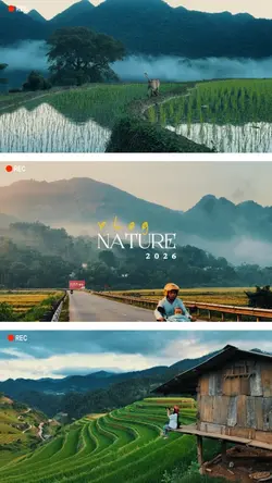 Nature Vlog 